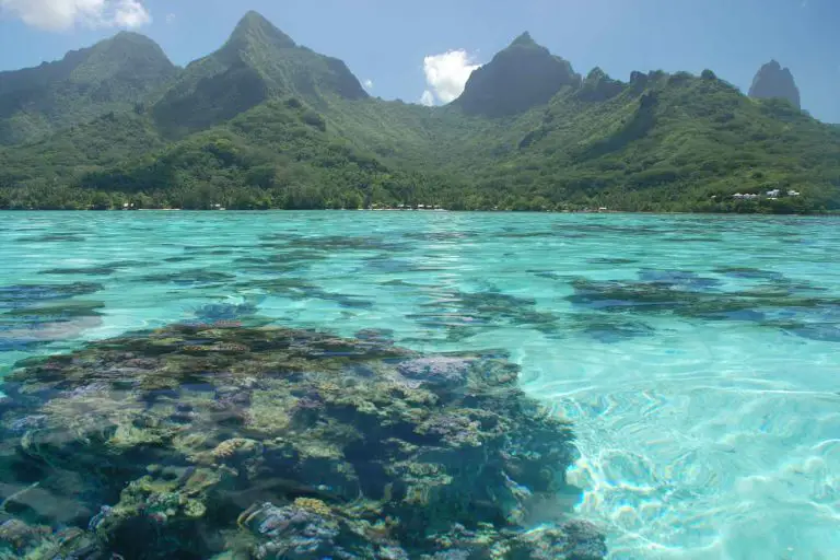 moorea